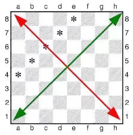 Шахматная доска - расположение, сколько клеток (полей), координаты
