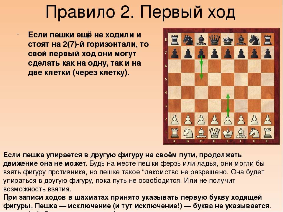 Шахматы: правила игры для новичков с картинками