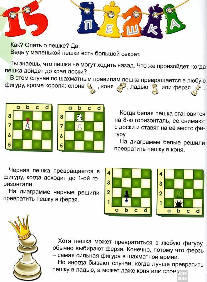 Пешка (шахматы) - pawn (chess) - abcdef.wiki