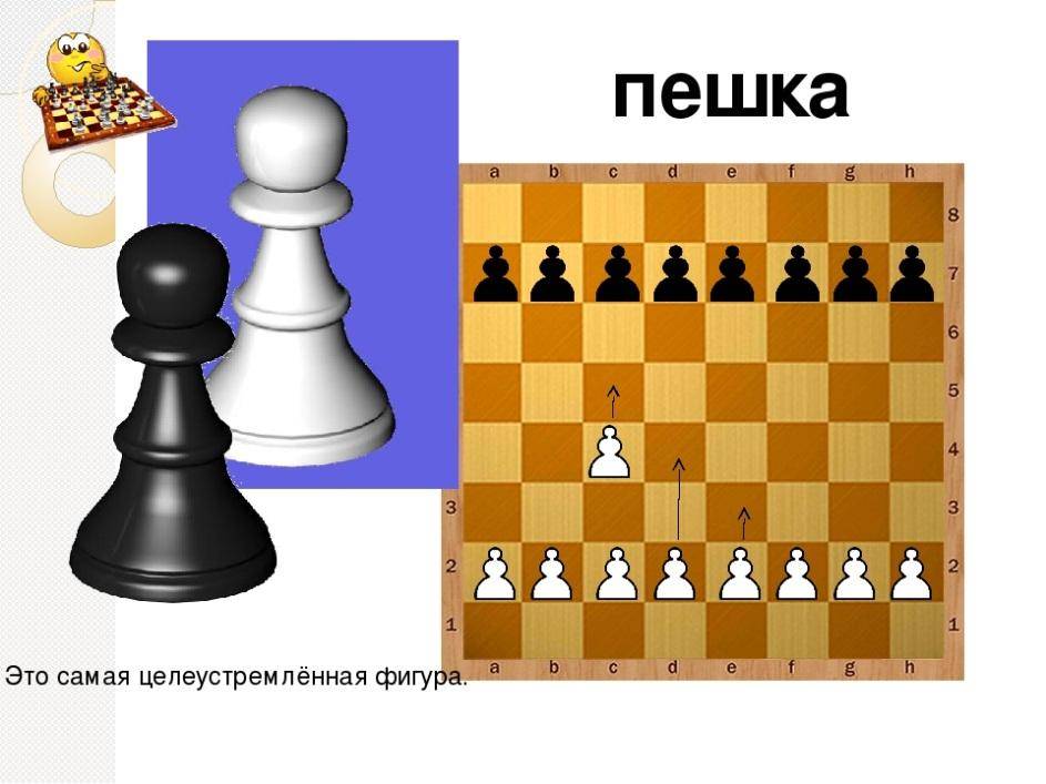 Как ходят фигуры в шахматах