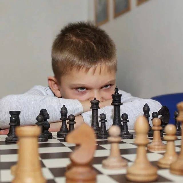 Шахматы для взрослых в краснодаре и онлайн — федеральный образовательный сервис «инпро»®