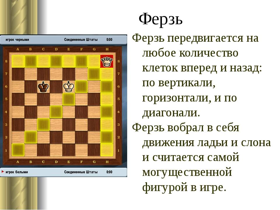 Расположение шахматных фигур