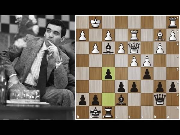 Валерий салов | биография шахматиста, партии, фото, рейтинг