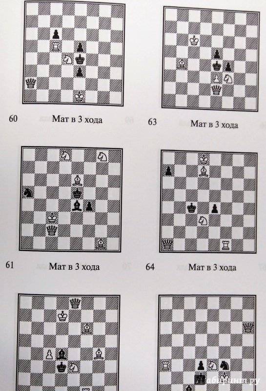 Урок двадцать восьмой. шахматная связка. виды связок. | областная спортивная школа по шахматам а.е.карпова