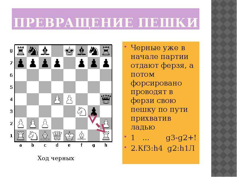 Шахматные фигуры | название с картинками, сколько белых и черных