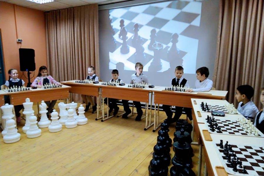 Шахматная школа (клуб) в краснодаре chess first: краснодар, ул. тургенева, 107. озывы, описание
