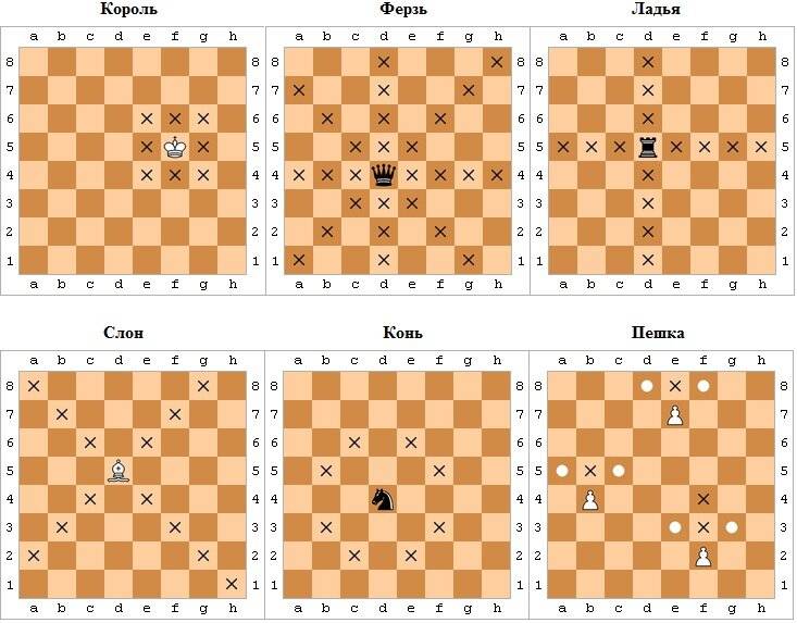 Картинки и названия шахматных фигур