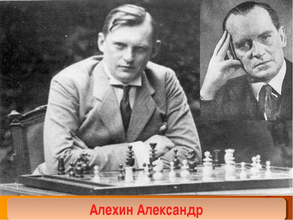 Александр алехин любил шахматы и кота - совсем другой город
