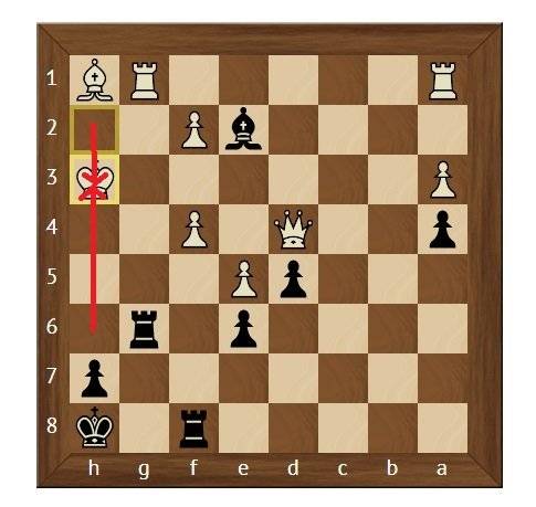 Как поставить детский мат в шахматах: 10 шагов