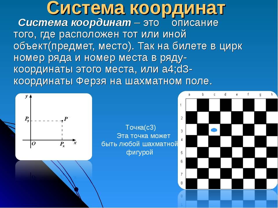 Шахматная доска: история появления шахматной доски.