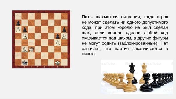 Пат в шахматах, это что: понятие и основные виды пата в шахматах, проигрыш и ничья
