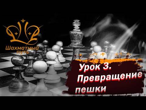 Какие бывают шахматные пешки? 24-ый шахматный урок. - детско-юношеская комиссия санкт-петербургской шахматной федерации