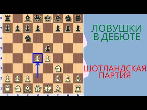 Шахматные ловушки в дебюте для начинающих (видео)