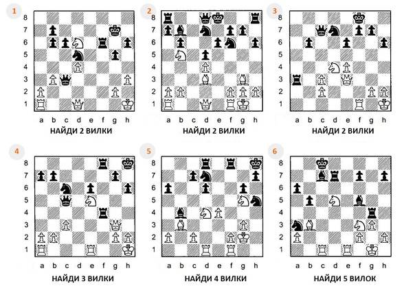 Урок двадцать седьмой. шахматные комбинации. двойной удар. | областная спортивная школа по шахматам а.е.карпова