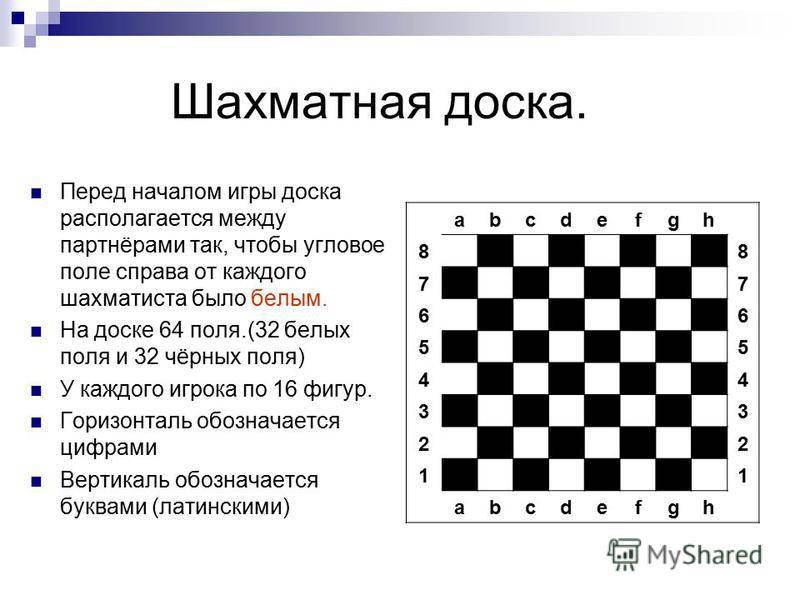Сколько партий играют в шахматах