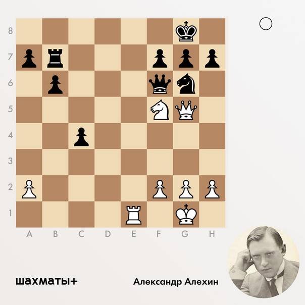 Александр алехин любил шахматы и кота