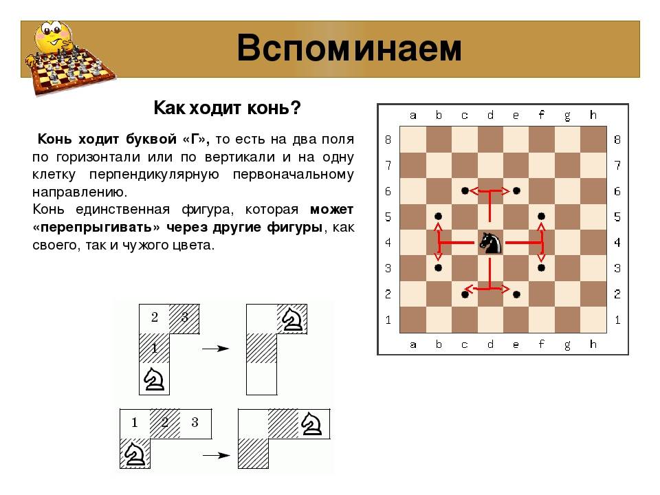 Правила игры в шахматы - инструкция для начинающих с нуля и детей - как ходят фигуры, расстановка на доске
