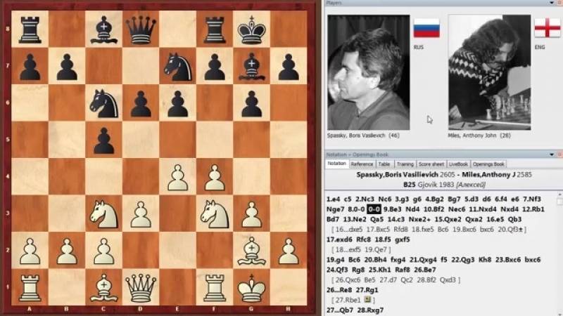 Ян тимман | биография шахматиста, лучшие партии, фото