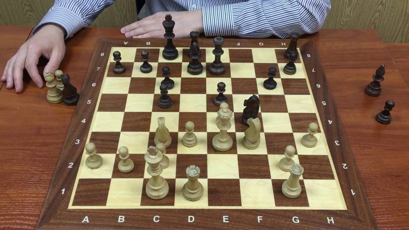 Теория шахмат - chess theory