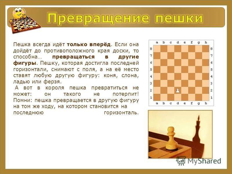 «потеряли массы любителей»: анатолий карпов об интересе к шахматам и образовании спортсменов