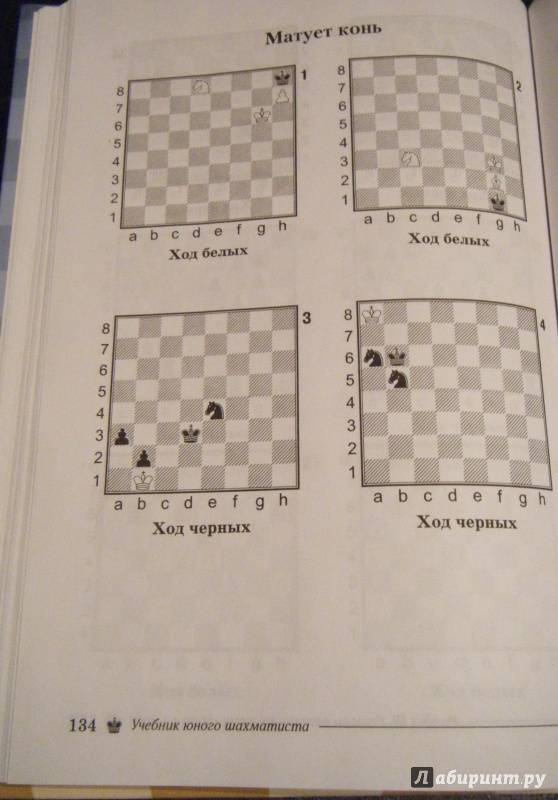 Учебник юного шахматиста, трофимова антонина сергеевна