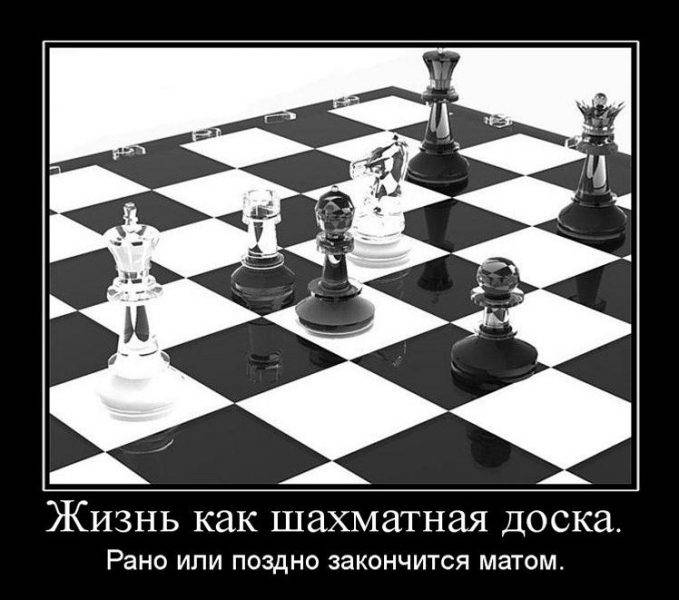 Цитаты про шахматы