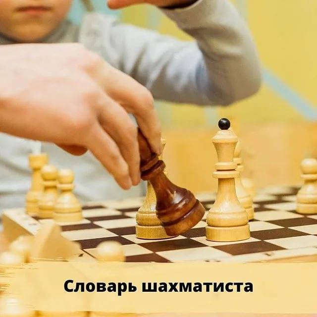 Шахматы как вид спорта