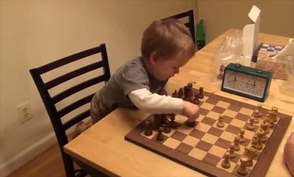 Шахматы для детей: с какого возраста и какая польза