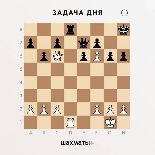 Ферзь | энциклопедия шахмат | fandom