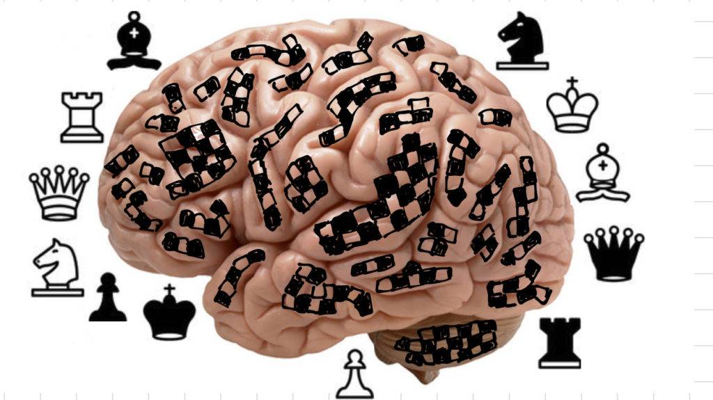 Шахматы что развивают - мозг, ум, память, мышление стратегическое | креативный мозг