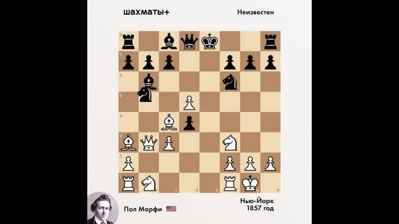 Морфи, пол | энциклопедия шахмат | fandom