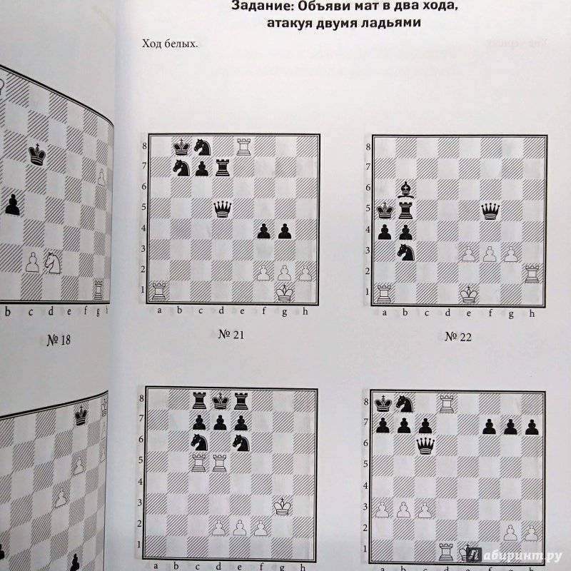 История борьбы: гроссмейстер против компьютера. когда в шахматах компьютер стал недосягаем для человека? | bankstoday