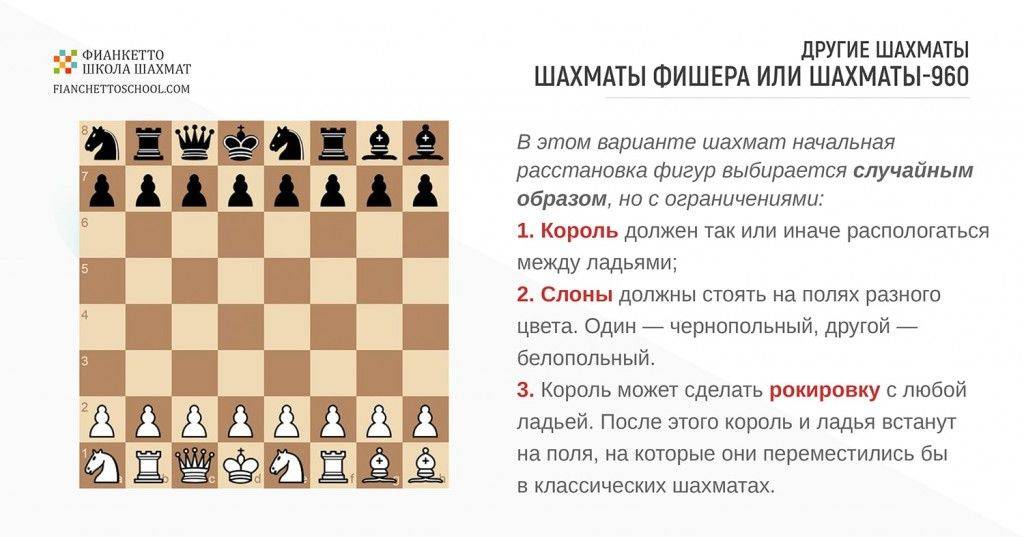 Шахматы Фишера: основные правила игры
