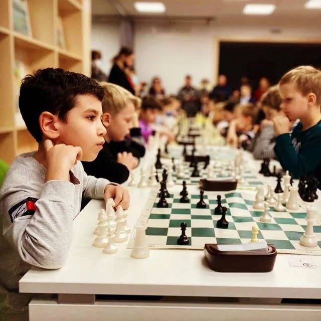 Шахматы, занятия для детей  в санкт-петербурге