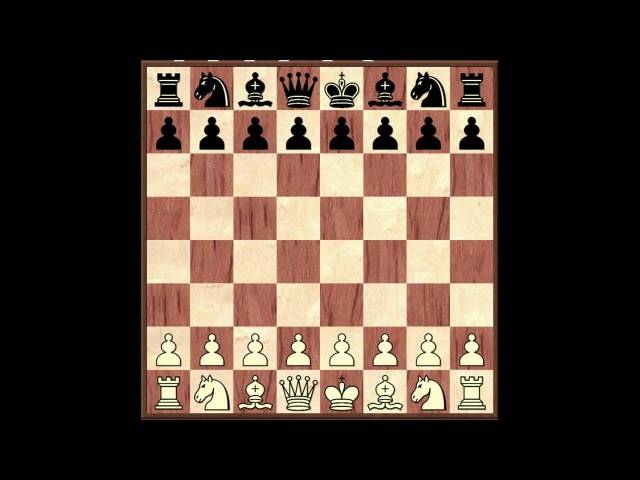 Самые сильные дебюты в шахматной партии — описание и примеры