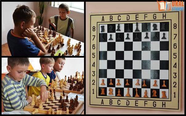 Детская шахматная школа: растущий тренд на рынке образовательных услуг – reconomica — истории из жизни реальных людей