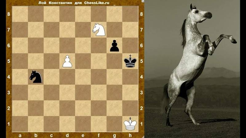 Эндшпиль и его значение в изучении шахмат