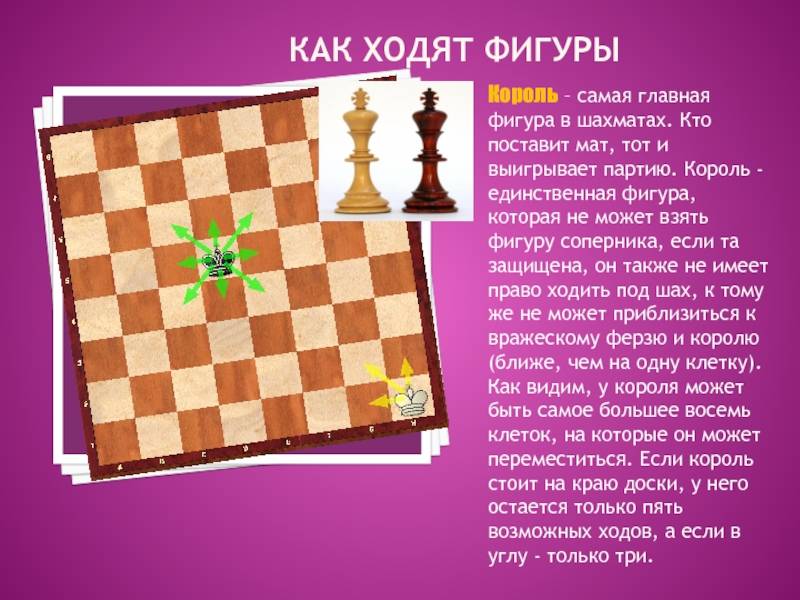 Виды и названия шахматных фигур, правила их расположения на доске