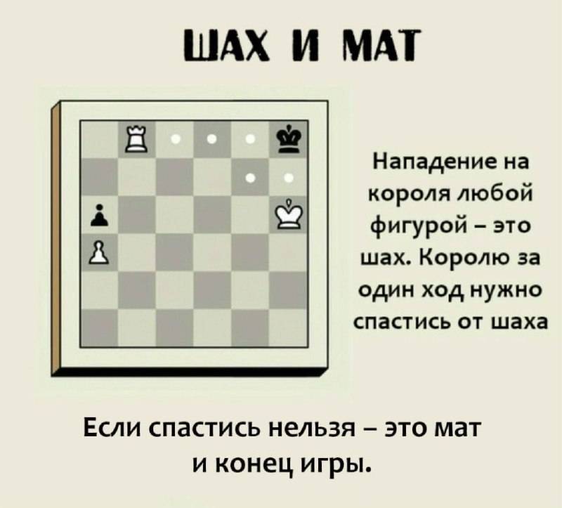 Виды шахмат