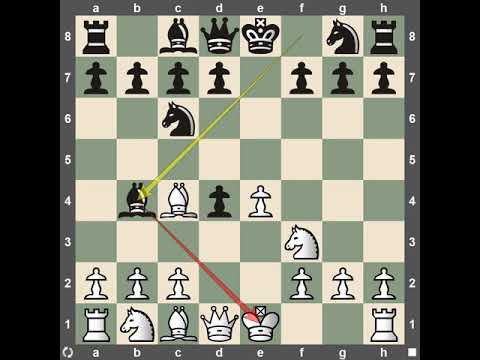 Leela chess zero