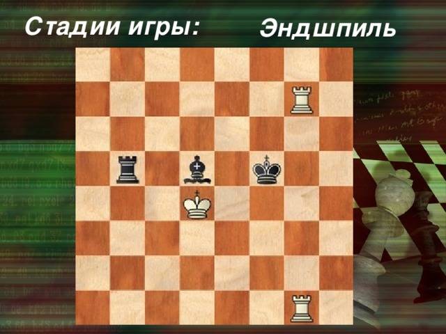 Как начинать шахматную партию