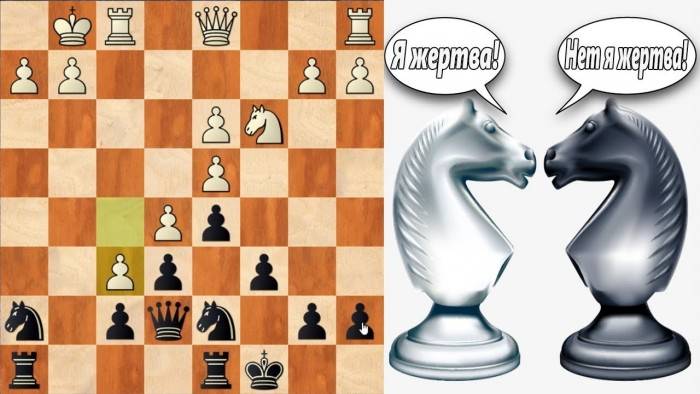 Как ходят шахматные фигуры: правила, схема для новичков