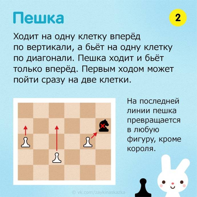 Как научиться игре в шахматы: основные термины, популярные комбинации, ценность фигур