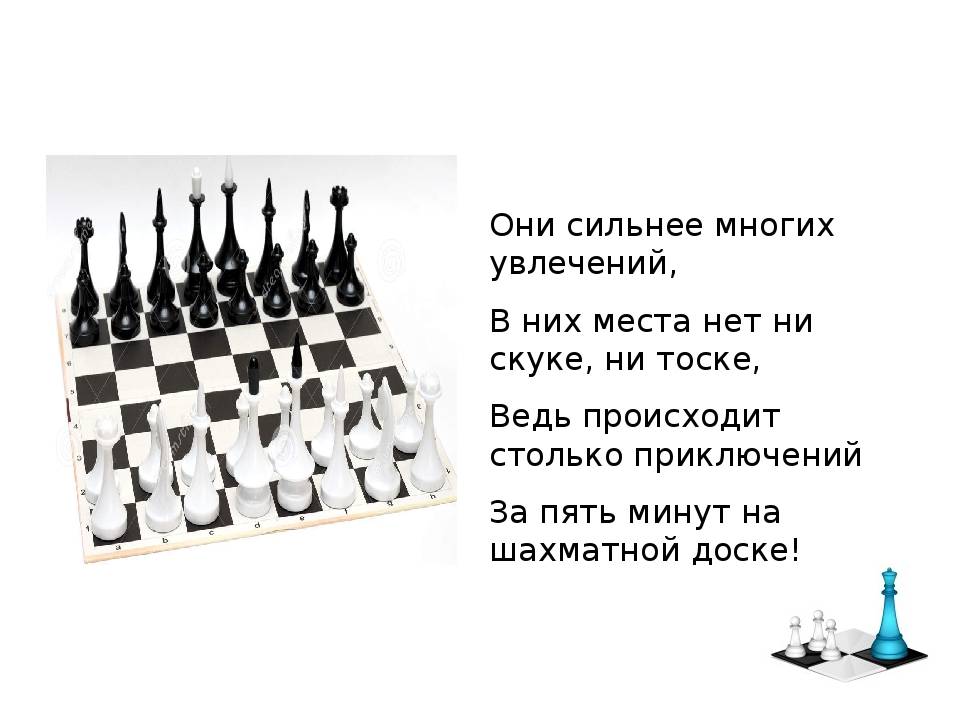 Стихи шахматы - сборник красивых стихов в доме солнца