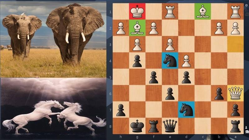 Слон против слона с пешками в разноцвете - принципы игры