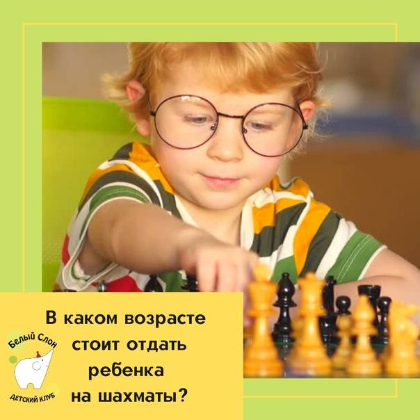 Что развивает игра в шахматы: польза шахмат для мозга и повседневной жизни