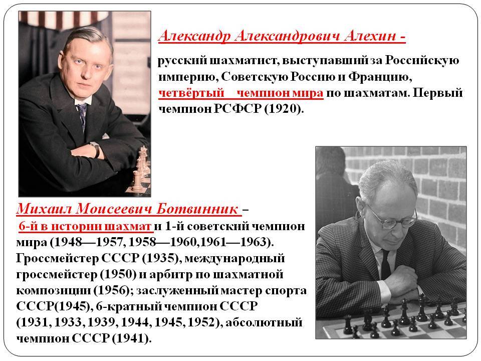 Александр алехин любил шахматы и кота