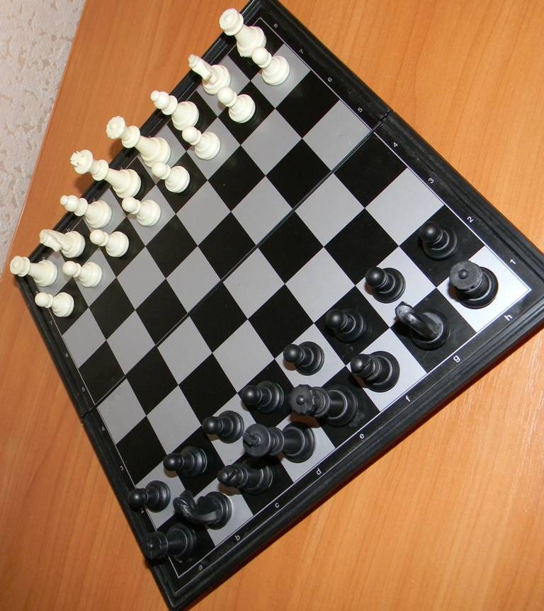 Как Стоят Шахматы На Доске Фото