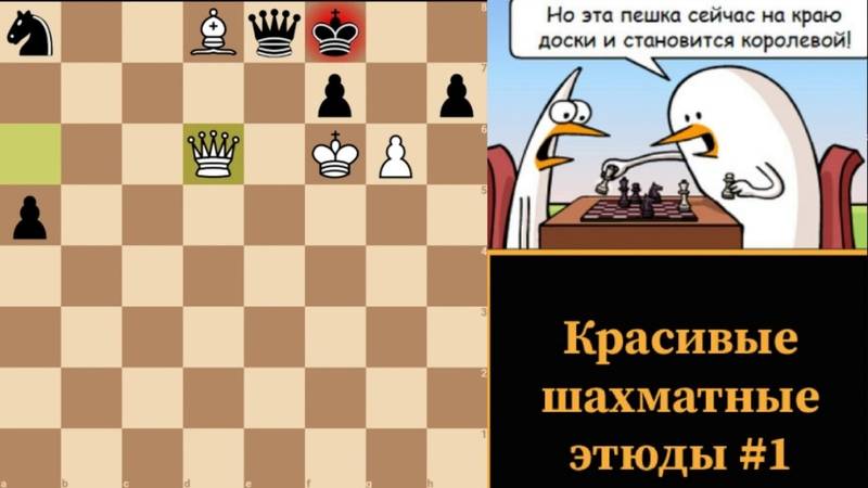 Цугцванг | энциклопедия шахмат | fandom