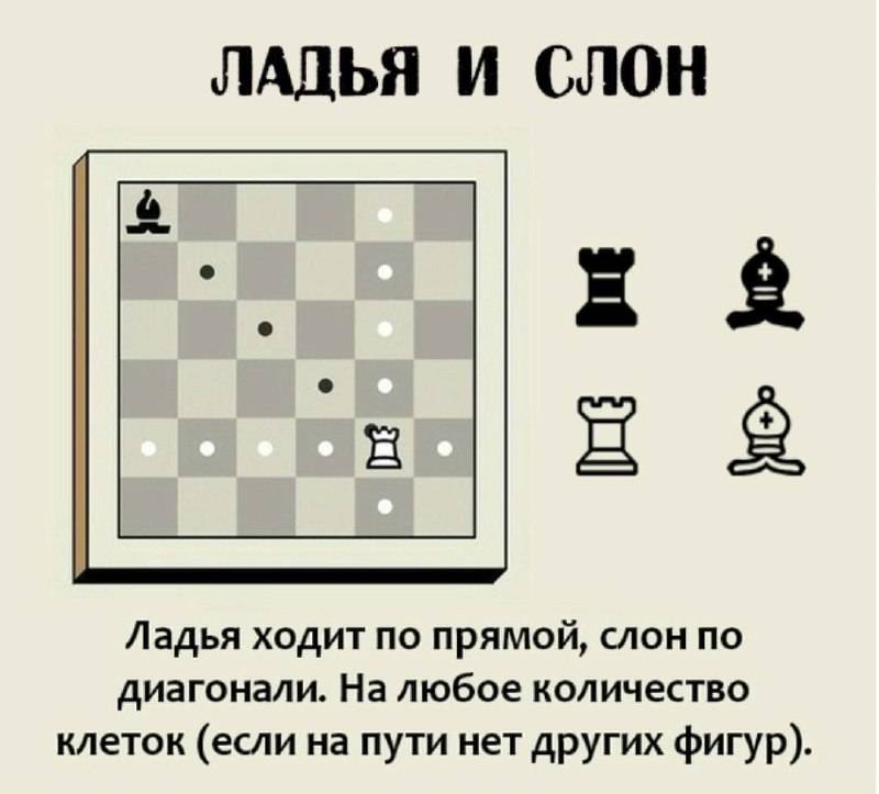 Контроль времени | энциклопедия шахмат | fandom